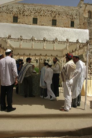img_7888.jpg