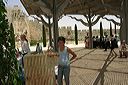 img_8172